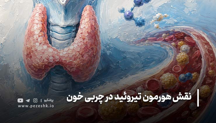 مهمترین اثرات هورمون تیروئید بر کلسترول و چربی خون